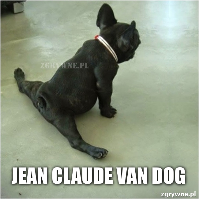 Jean Claude Van Dog