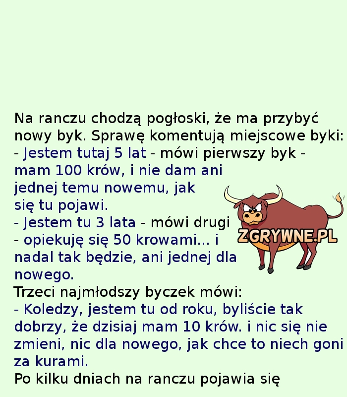 Gra o krowę... :)